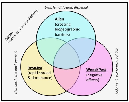 The three components often used in defining invasive species. Different definitions emphasise different components.  Source:  Kull et al. 2014 (supplementary online material)